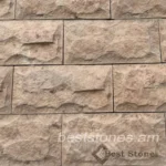Երեսպատման սալիկ 12.7x26.3 սմ - Image 2